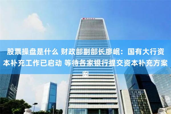 股票操盘是什么 财政部副部长廖岷：国有大行资本补充工作已启动 等待各家银行提交资本补充方案