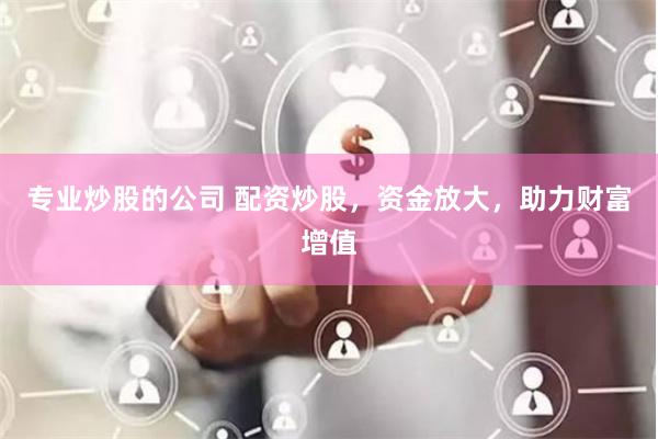 专业炒股的公司 配资炒股，资金放大，助力财富增值