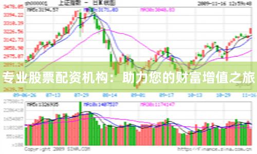 专业股票配资机构:助力您的财富增值之旅